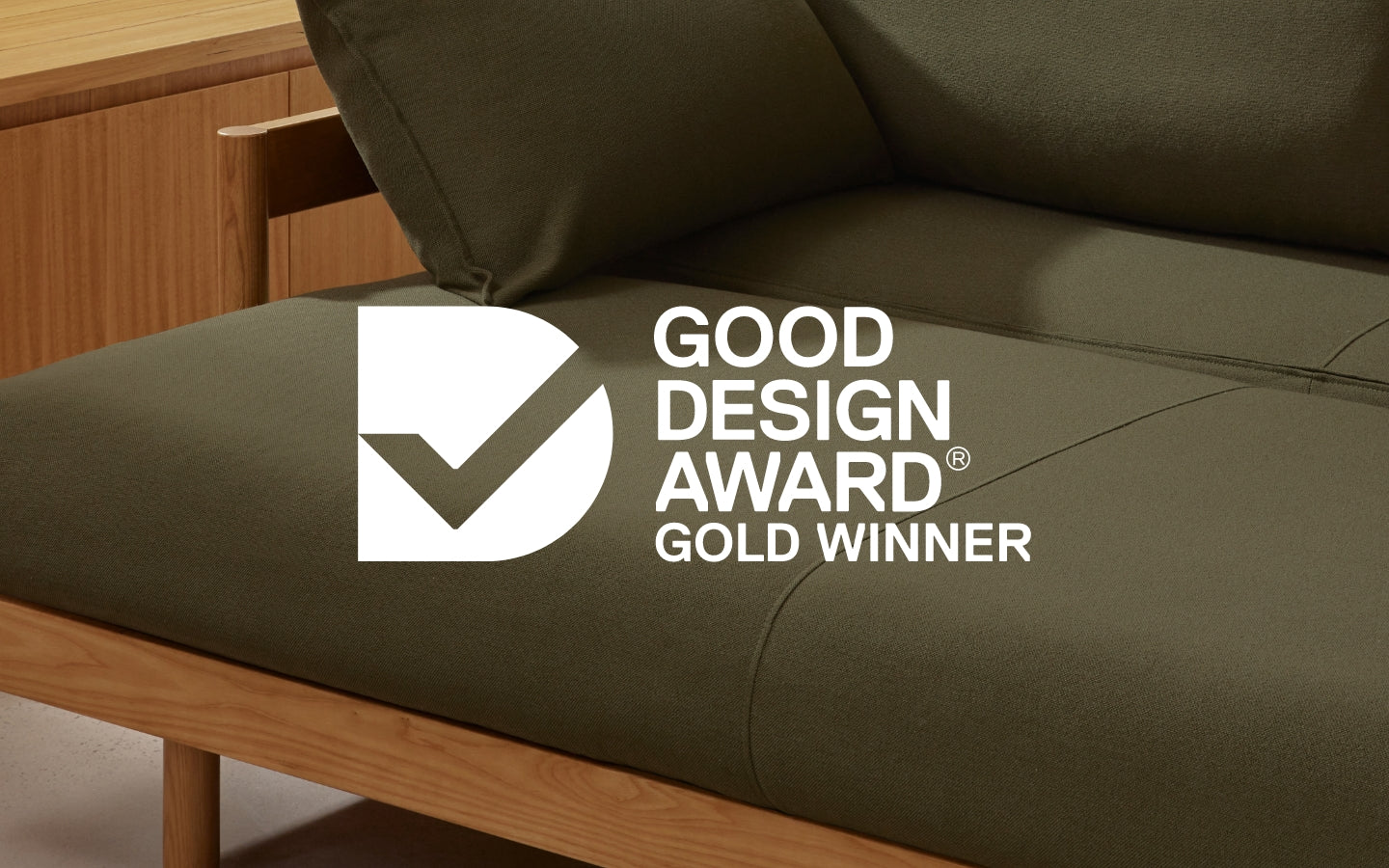 Slideaway Sofa Bed Pull Out Lounge Sofa Bed  Gold Good Design Award Winning Olive Sofa 